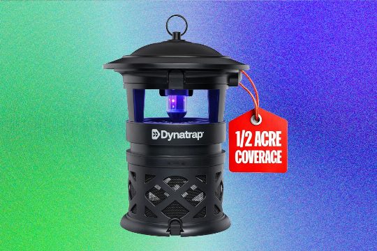 Best Mosquito Repellents for Your Yard: What Works and What Doesn’t (2026)