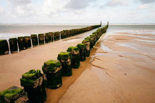 Cómo los Investigadores Neerlandeses Usaron Galletas de Tierra para Probar la Defensa de las Marismas Frisias contra las Tormentas