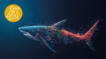 heise-Angebot: iX-Workshop: Wireshark für Netzwerkdiagnose und -sicherheit