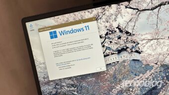 Bug faz Windows 11 ocupar 500 GB de armazenamento com “lixo”