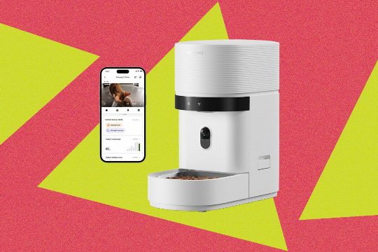 How to Choose the Best Automatic Cat Feeder: A Comprehensive Guide