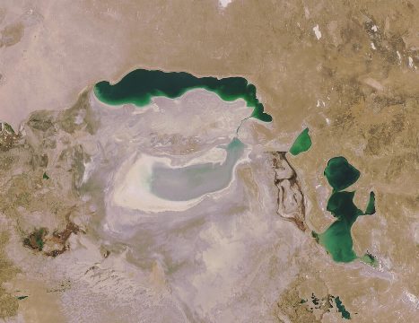 Cómo Uzbekistán Revive el Mar de Aral con Bosques de Saxaul