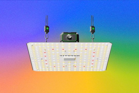How to Choose the Best LED Grow Lights for Your Houseplants