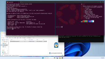 Ubuntu cresce mais no Windows do que no próprio Linux
