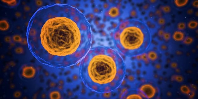 Cómo los Células Zombie Pueden Desempeñar un Papel en el Envejecimiento y cómo los Investigadores Intentan Eliminarlas